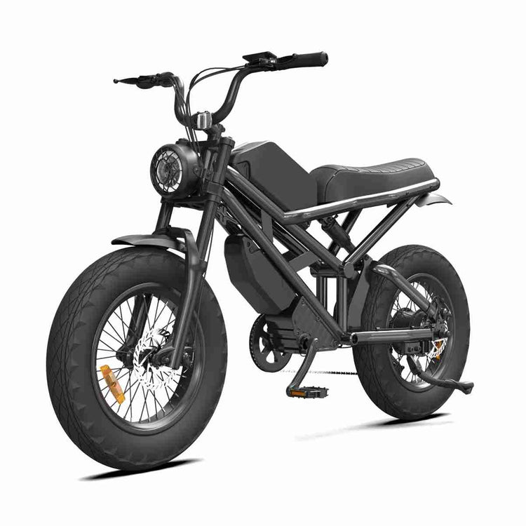 24 Inch Fat Tire Electric Bike supplier
