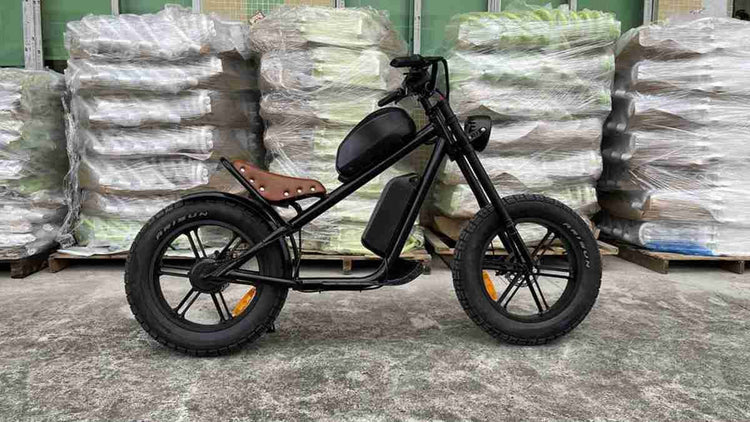 4 wheel electric bike for adults supplier
