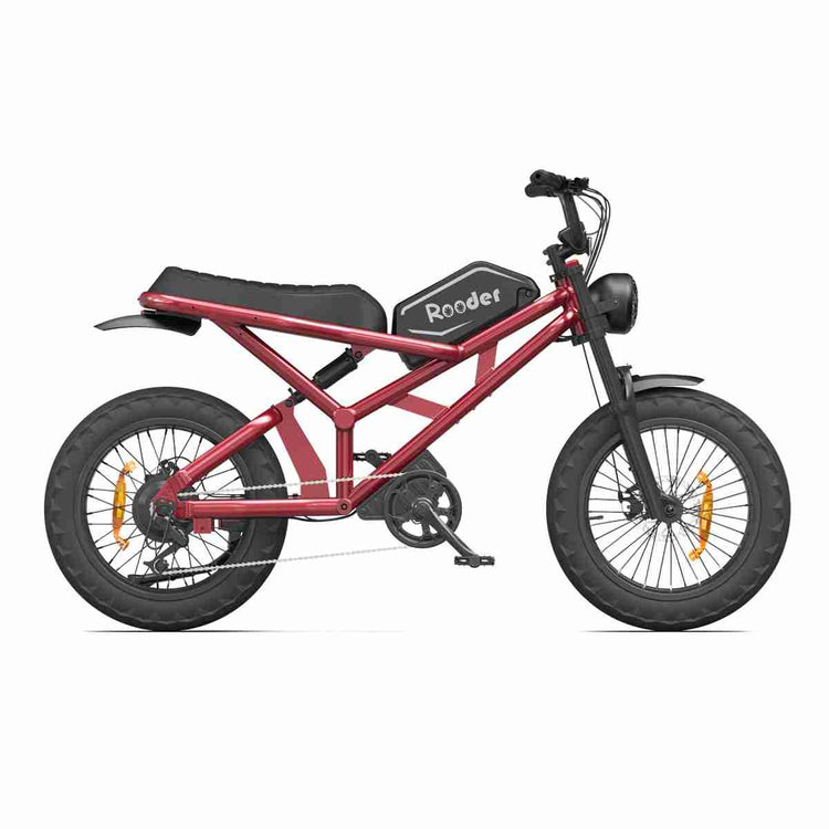 750w Fat Tire Ebike supplier