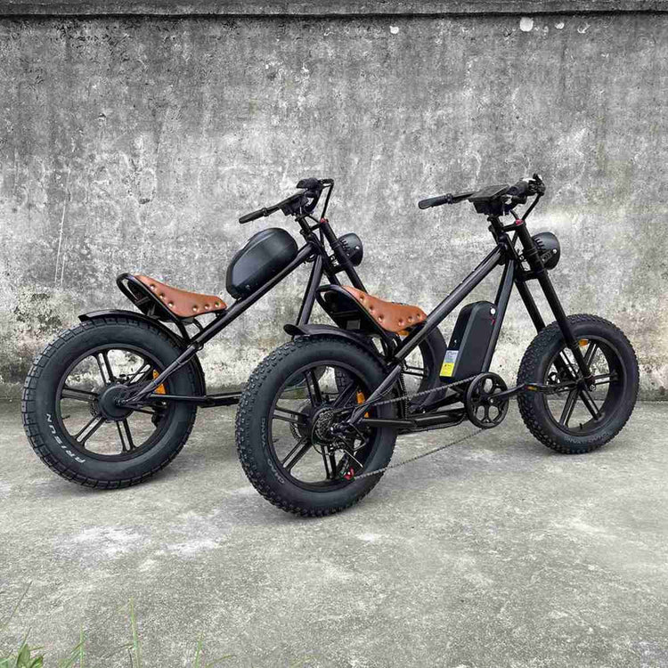 Chinese Electric Bikes Prices supplier