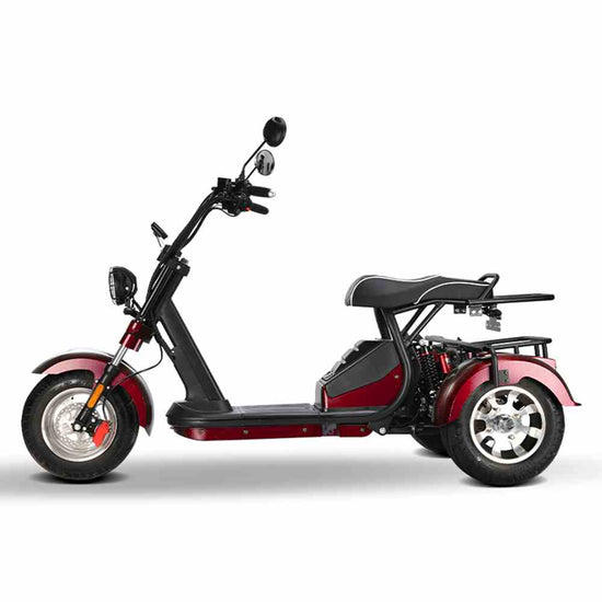Rooder shansu hm-3 Citycoco Trike Scooter 2000w 40ah