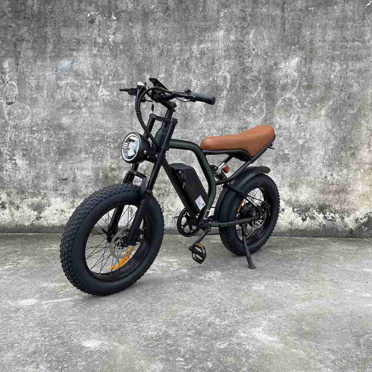 Single Speed Ebike supplier