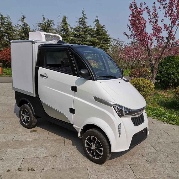 eco mini car wholesale price