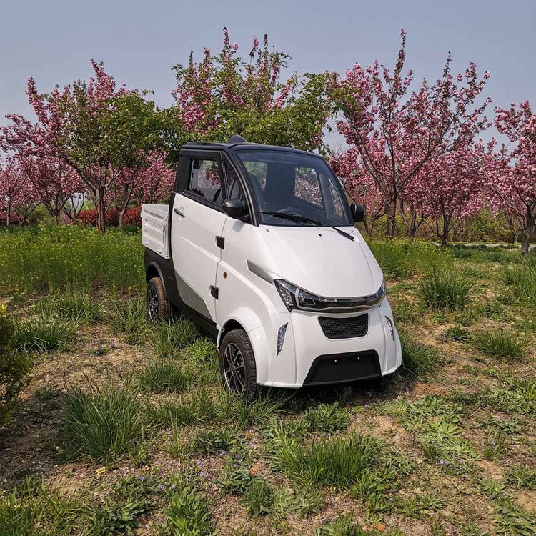 electric cars 2024 best wholesale price