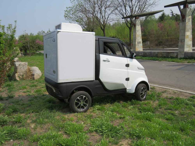 best affordable electric car wholesale price