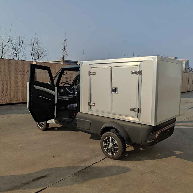 travel with electric car wholesale price