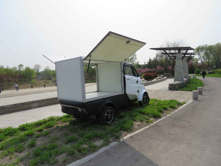 price of all electric cars wholesale price