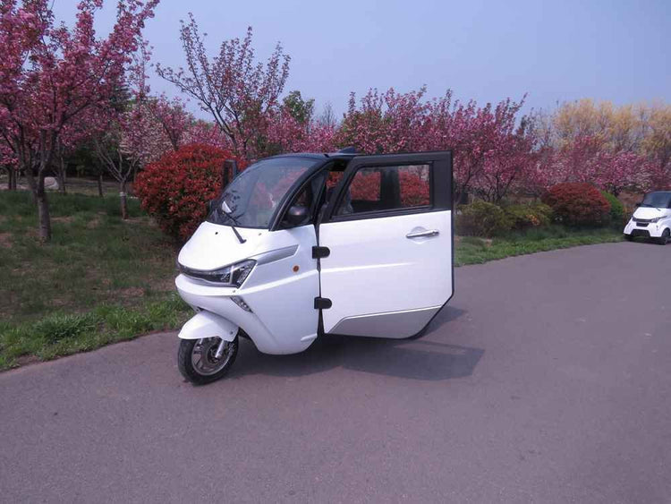 electric van range wholesale price