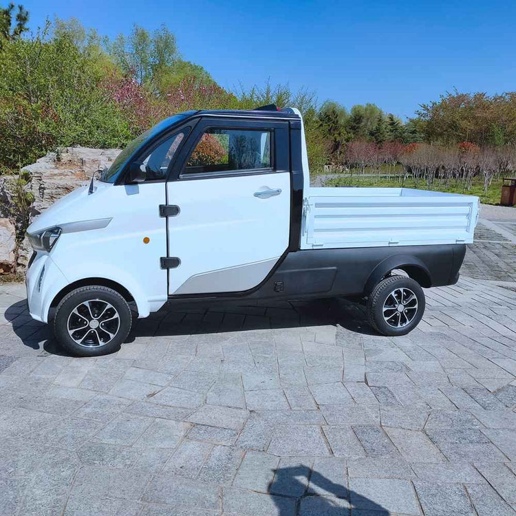 two passenger electric car wholesale price