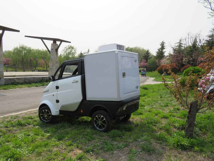 china electric vehicle production wholesale price