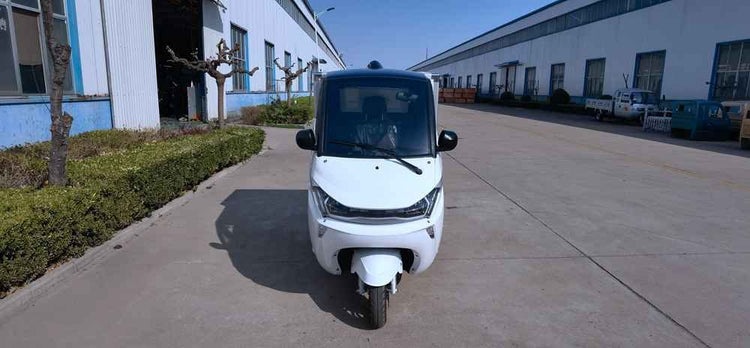 best electric vehicle on market wholesale price