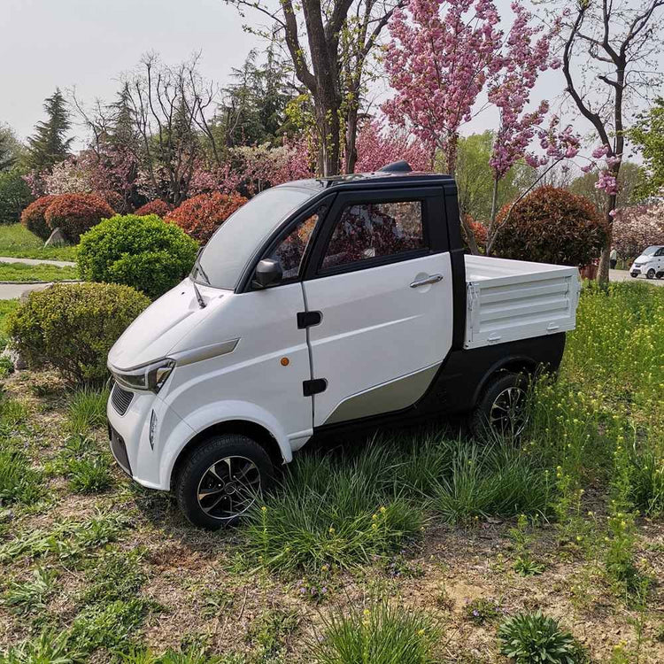 ev in car wholesale price