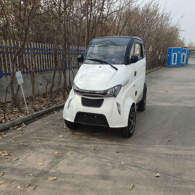 electric cars this year wholesale price