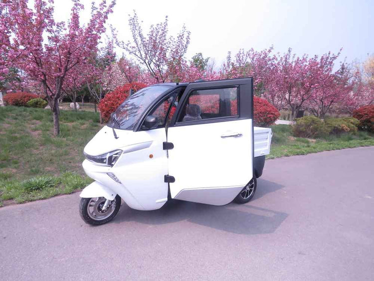 ev vehicles manufacturers wholesale price
