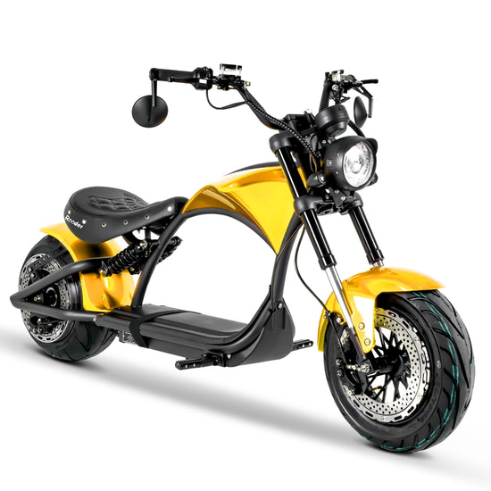 mangosteen electric scooter Rooder m1ps m1p custom DOT EEC COC wholesale price