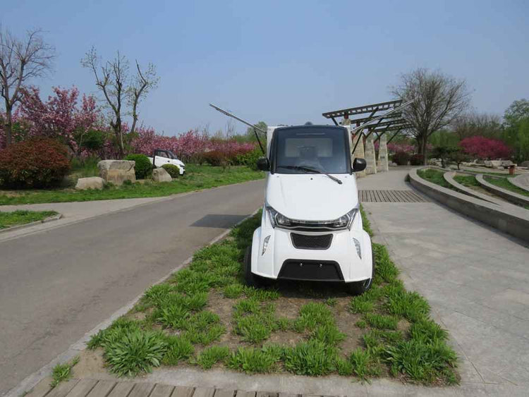 mini ev europe wholesale price