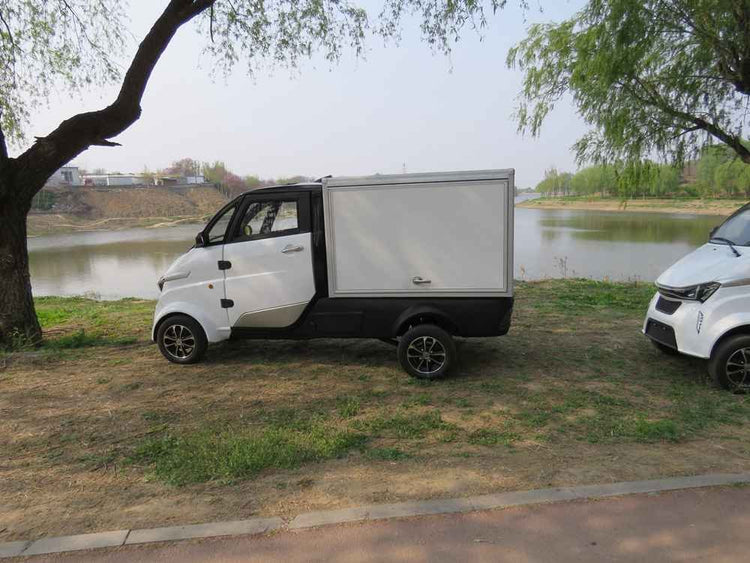 ev delivery van wholesale price