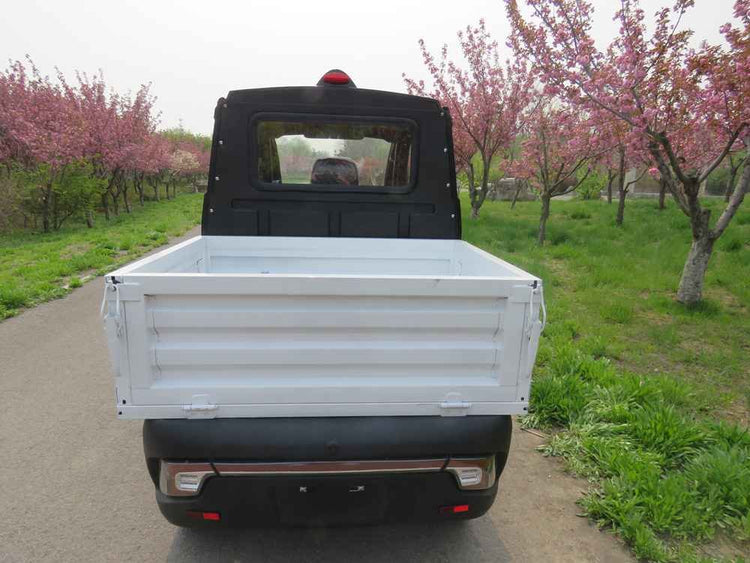 electric vehicles usa wholesale price