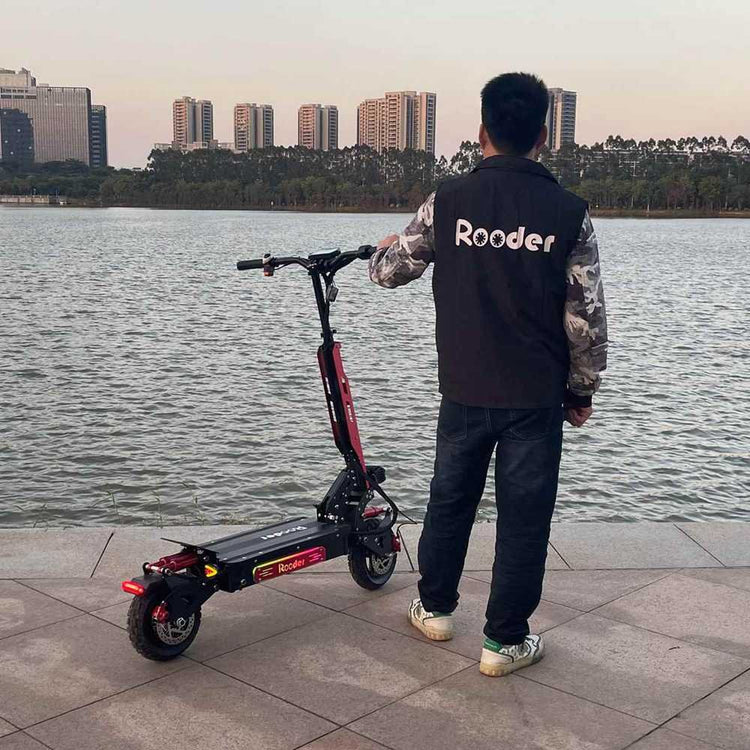 10 inch electric scooter supplier