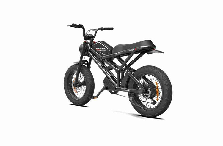4 wheel electric bike supplier