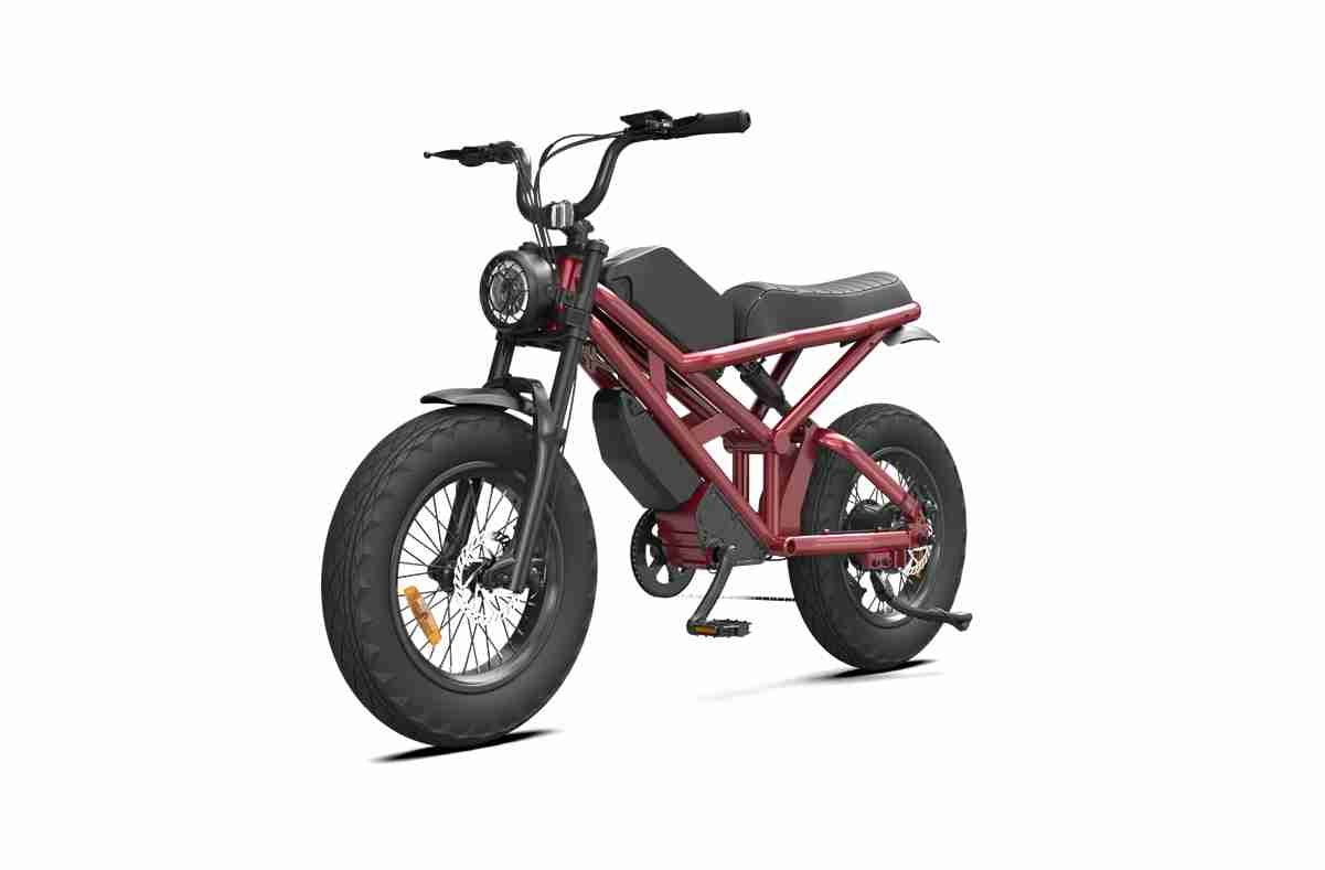 Adult Fat Tire Electric Bike supplier