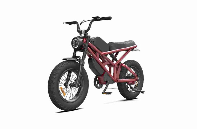Adult Fat Tire Electric Bike supplier