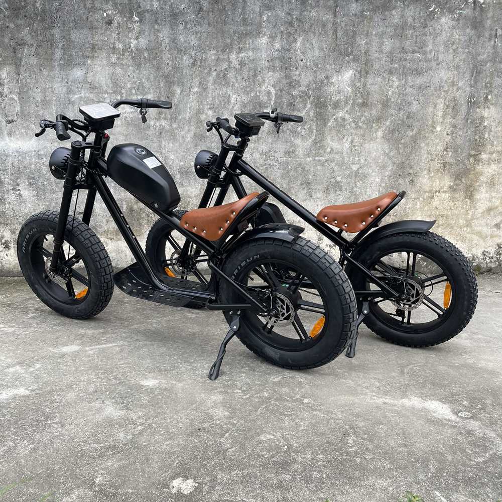 Best ebike Rooder cb01b 48V 1000W 40ah 25-50km/h wholesale price