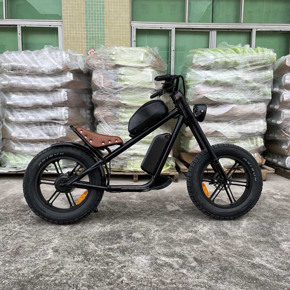 Best ebike Rooder cb01b 48V 1000W 40ah 25-50km/h wholesale price