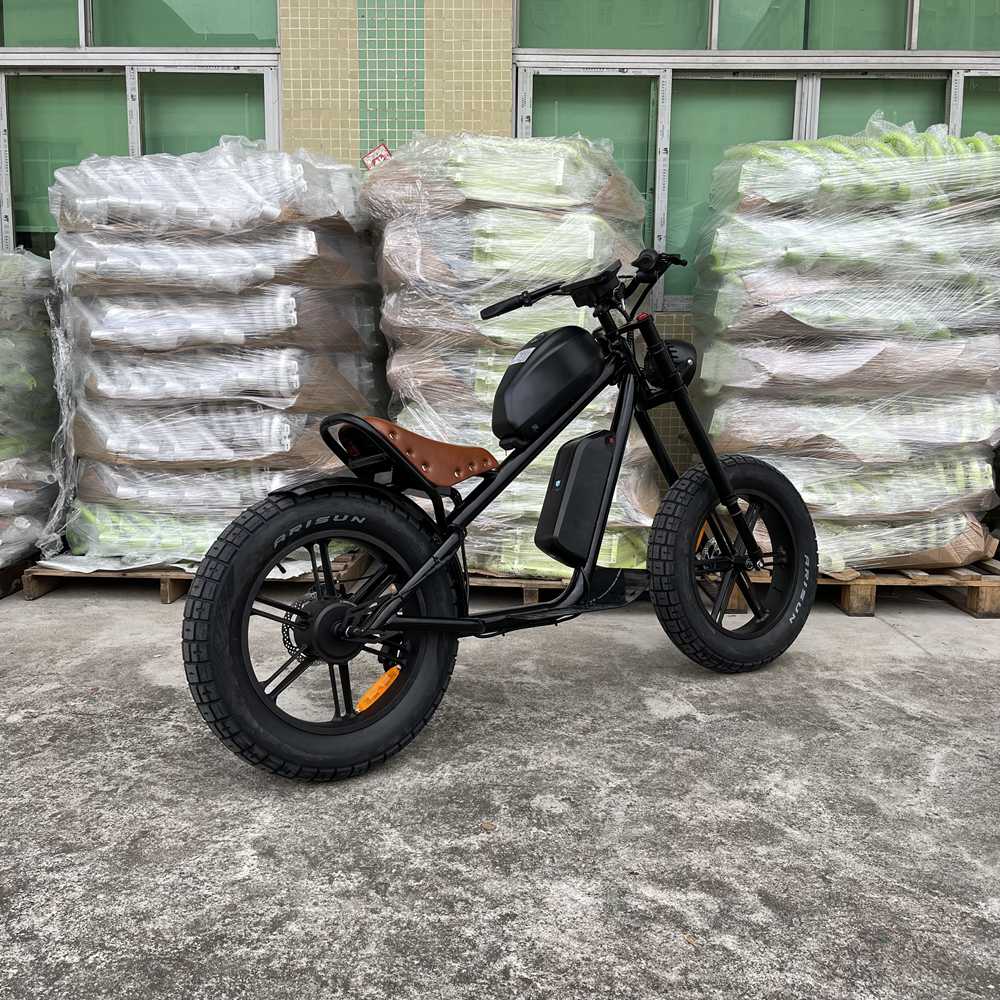 Best ebike Rooder cb01b 48V 1000W 40ah 25-50km/h wholesale price