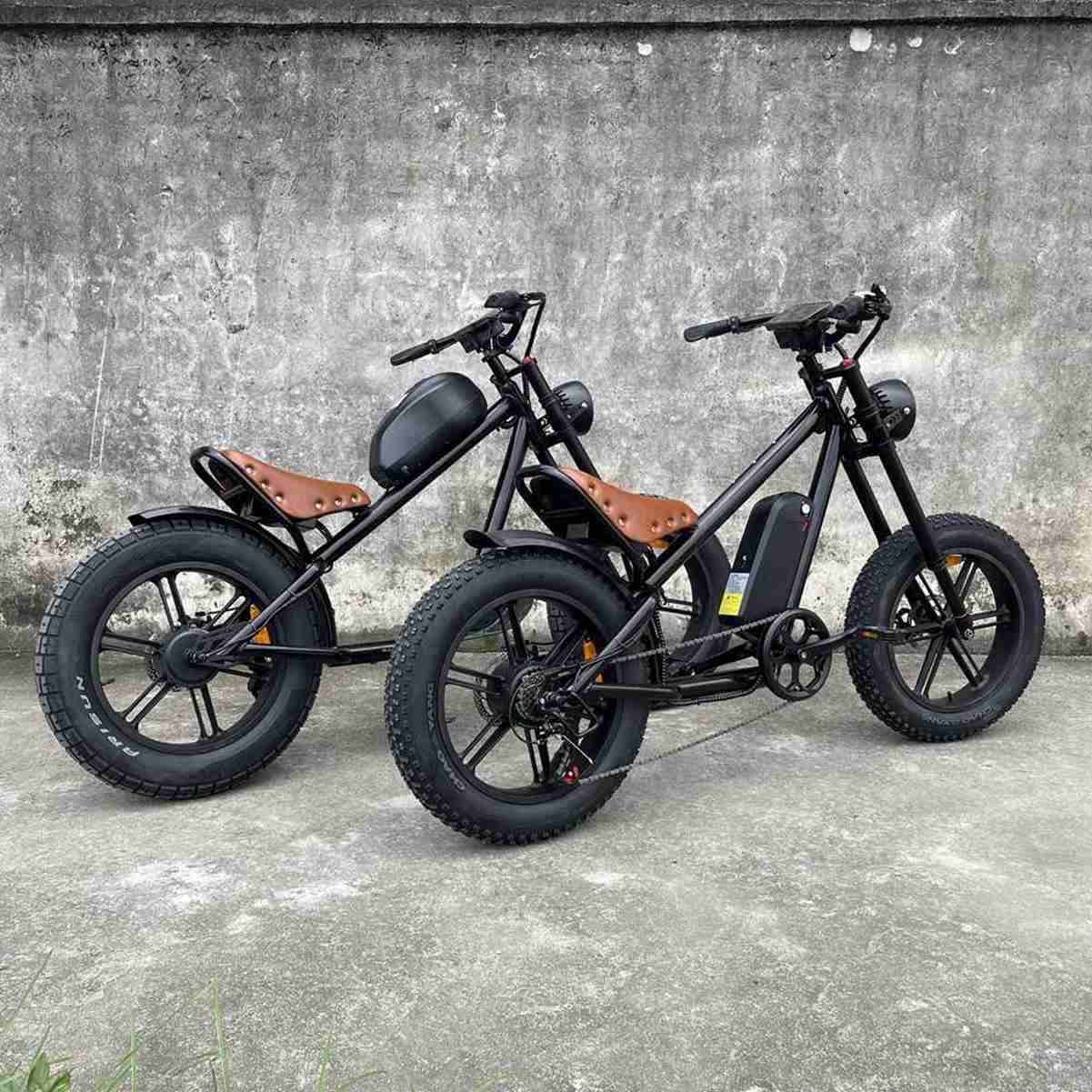 Chinese Electric Bikes Prices supplier