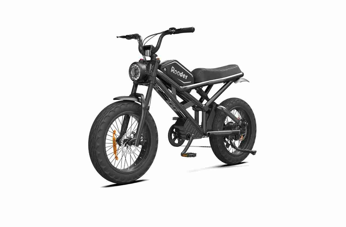 Ebike Fat Bike supplier