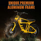 Electric Bike with Aluminium Frame for Commuting & Mountain Trails