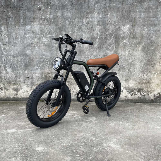 Electric bicycle Rooder cb02 48v 500w 45km/h for adults wholesale price for sale