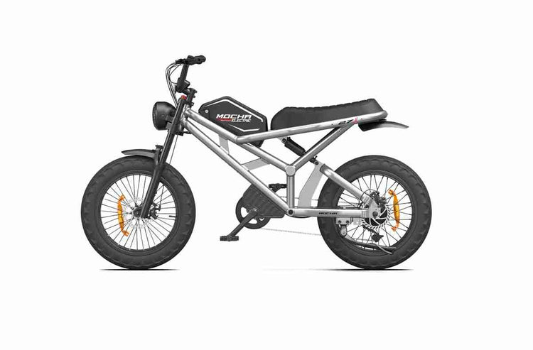 Foldable E Bike supplier