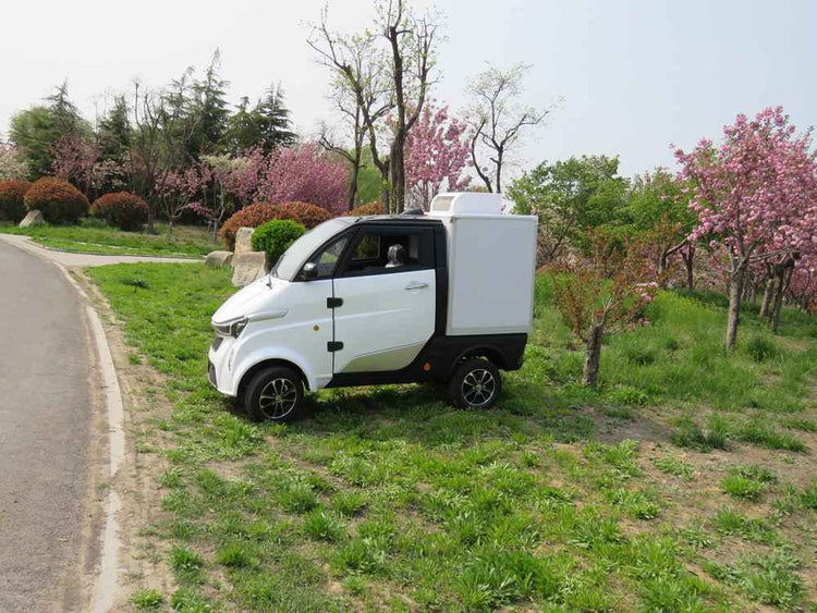 china mini electric car price wholesale price