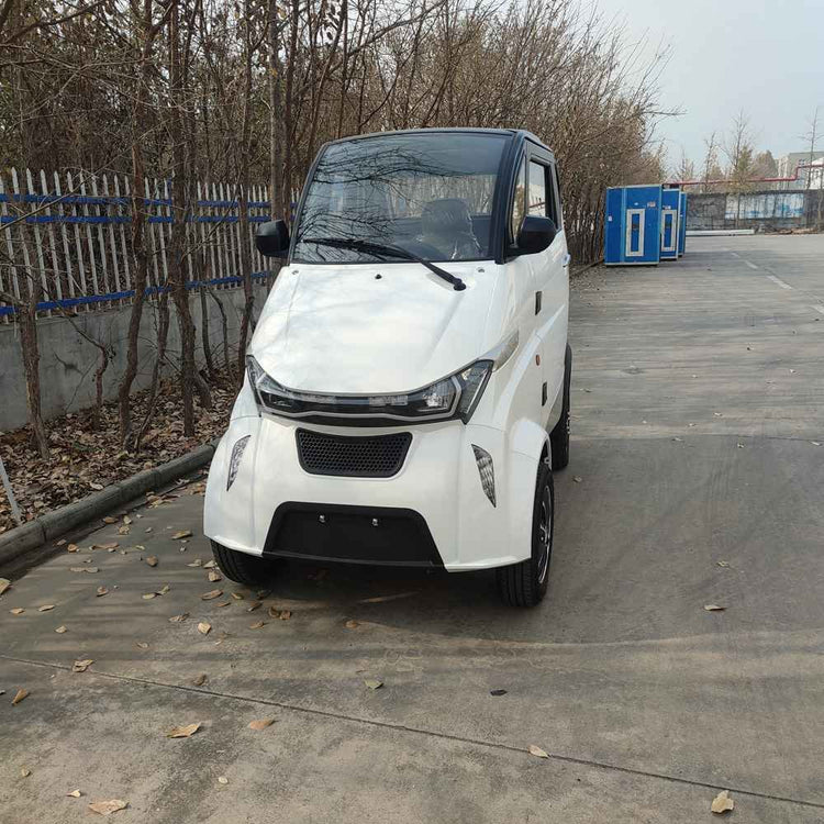 electric automotive wholesale price