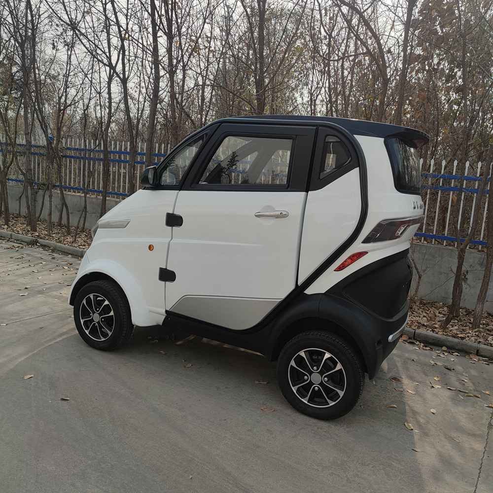 electric vehicle sales by company wholesale price