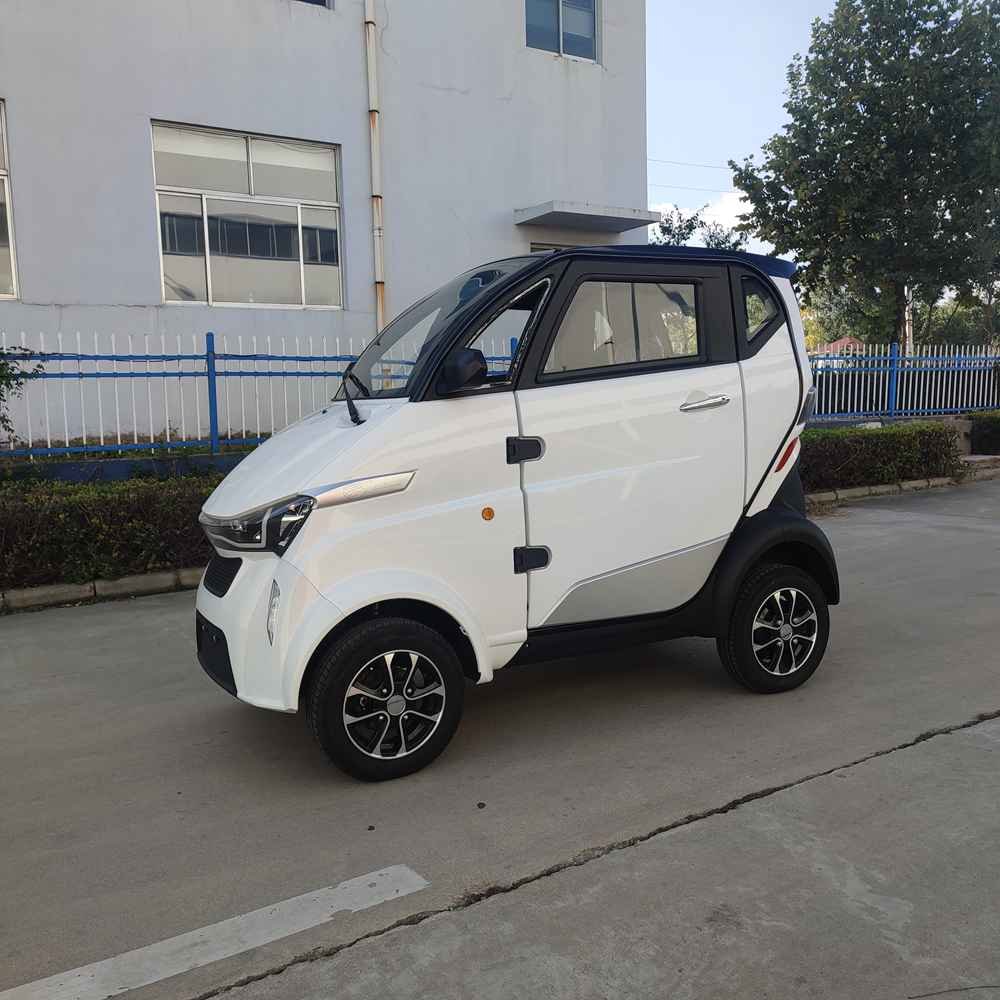 cons of owning an electric car wholesale price