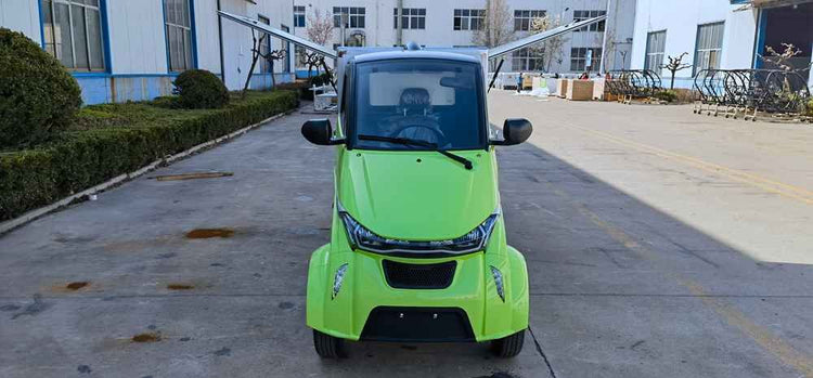 future of electric vehicles in world wholesale price