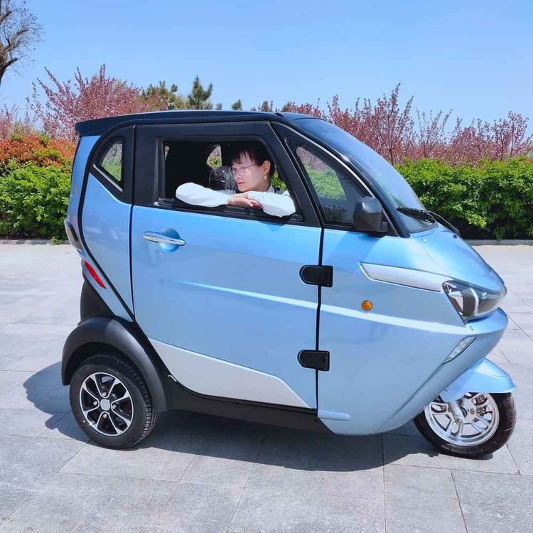 ev cargo auto wholesale price