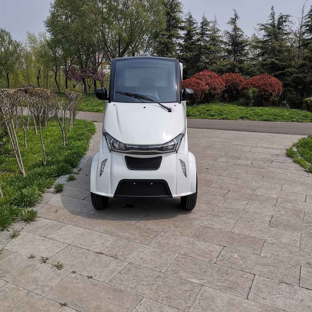 best small electric cars 2024 wholesale price
