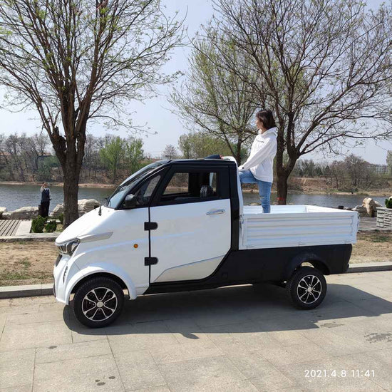 ev car low price wholesale price