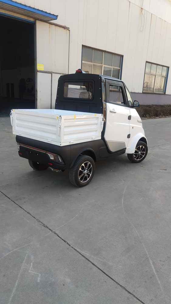 electric vehicle overview wholesale price