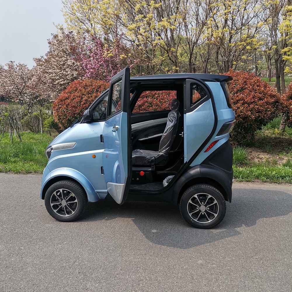 electric vehicle subscription service wholesale price