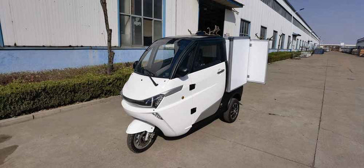 show me all electric cars wholesale price