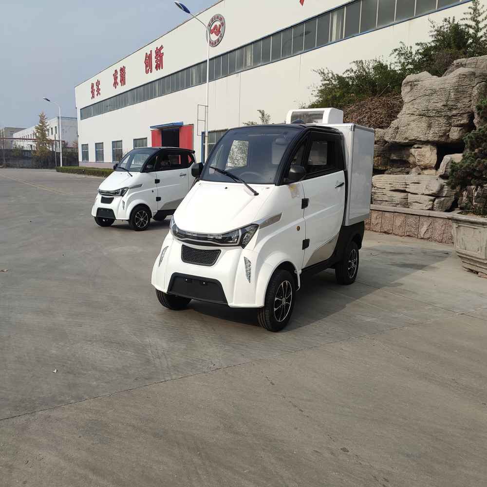 new electric car company wholesale price