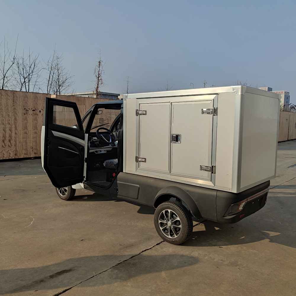 travel with electric car wholesale price