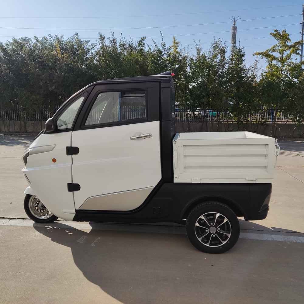 best looking ev cars wholesale price