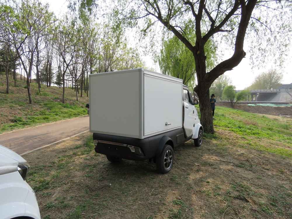 ev cars available wholesale price