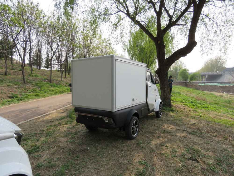 ev cars available wholesale price